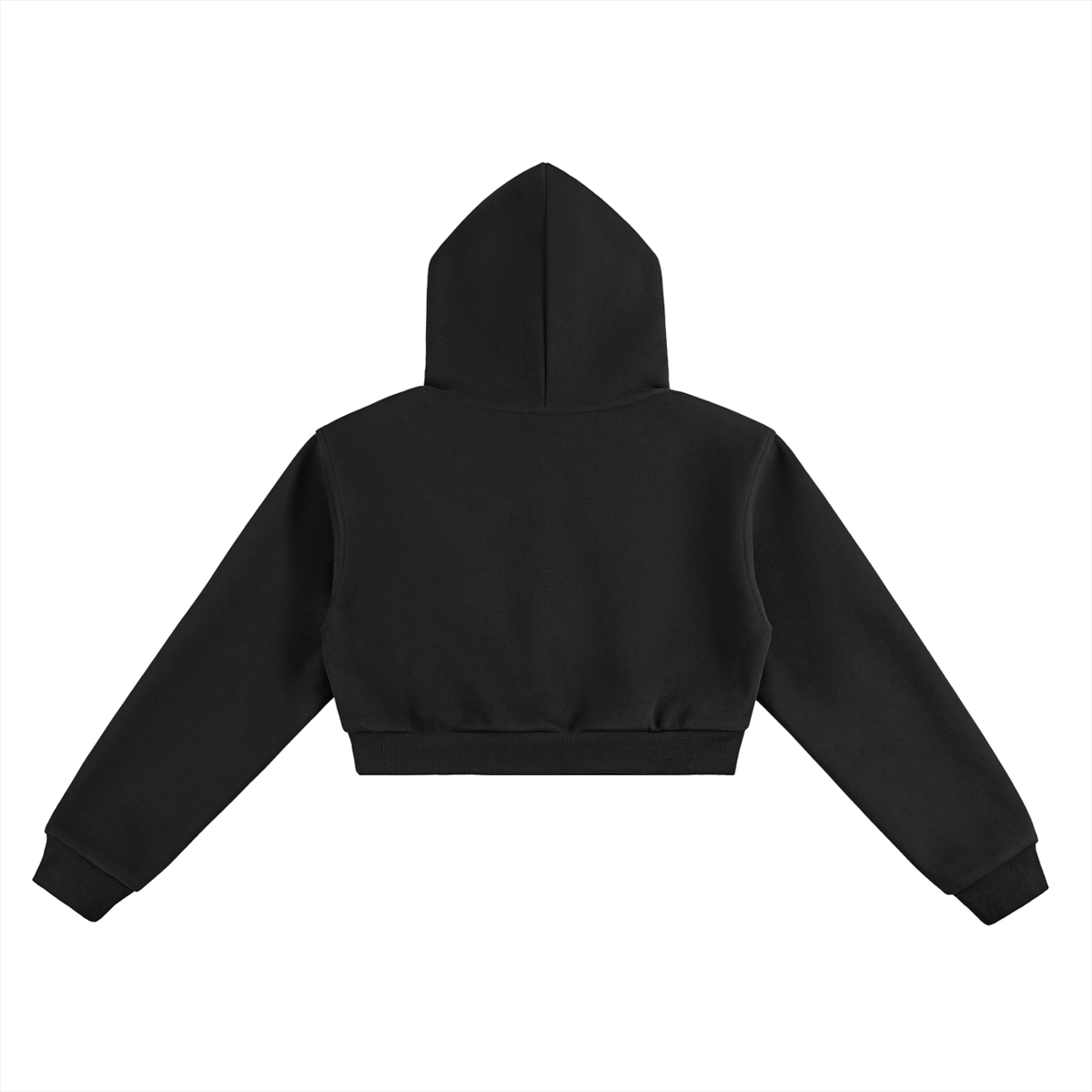 Darwin,Cropped,Hoodie