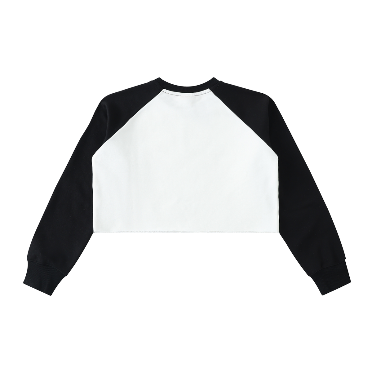Darwin,Cropped,Sweatshirt